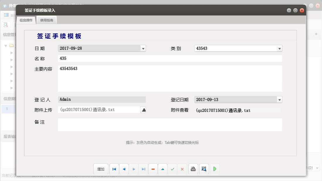 签证手续模板录入信息窗口