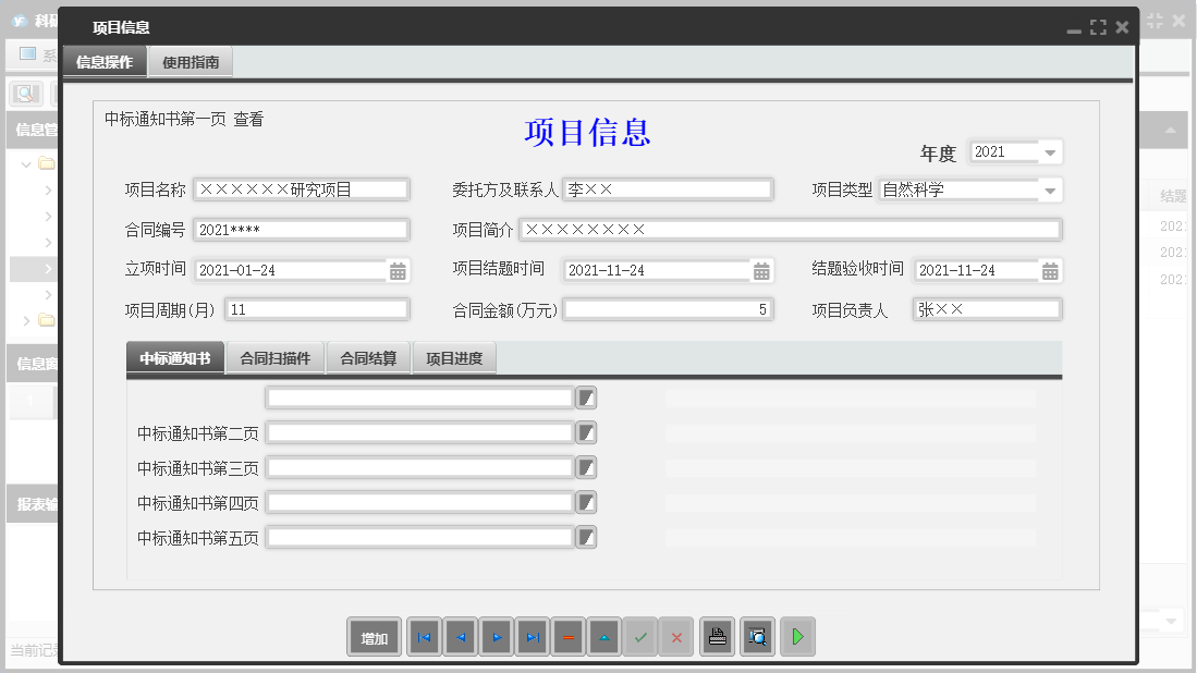项目信息信息窗口